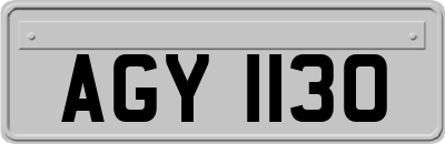 AGY1130