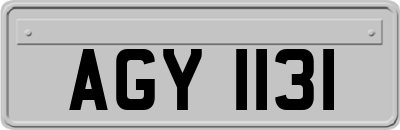 AGY1131