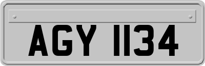 AGY1134