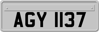 AGY1137