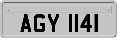 AGY1141