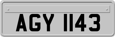 AGY1143