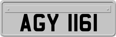 AGY1161