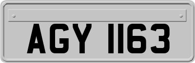 AGY1163
