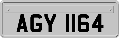 AGY1164