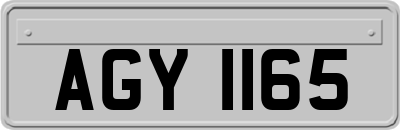 AGY1165