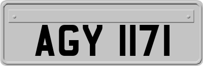 AGY1171