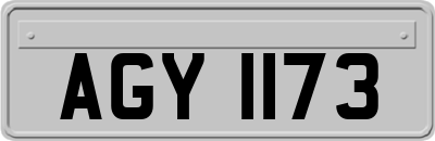 AGY1173