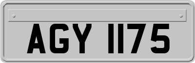 AGY1175