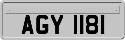 AGY1181