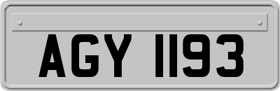 AGY1193