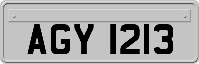 AGY1213