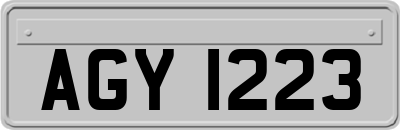 AGY1223