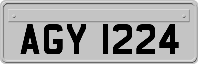 AGY1224