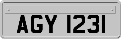 AGY1231