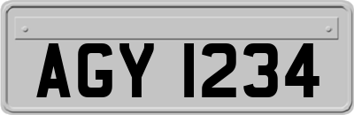 AGY1234