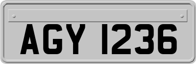 AGY1236