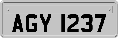 AGY1237