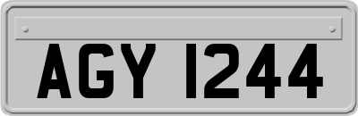 AGY1244