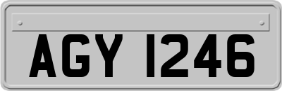 AGY1246