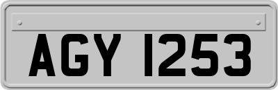 AGY1253