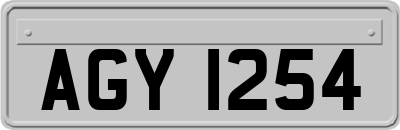 AGY1254