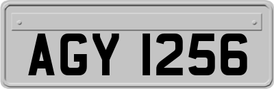 AGY1256
