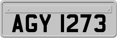 AGY1273