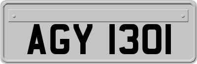 AGY1301