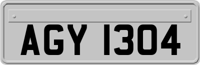 AGY1304