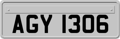 AGY1306