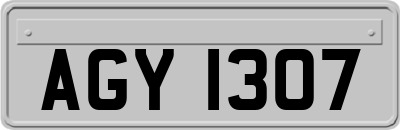 AGY1307