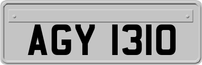 AGY1310