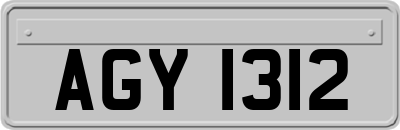 AGY1312