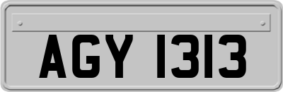 AGY1313