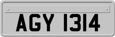 AGY1314