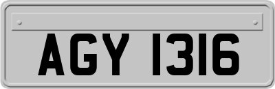 AGY1316