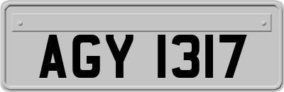 AGY1317