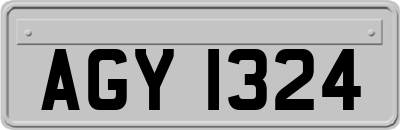 AGY1324