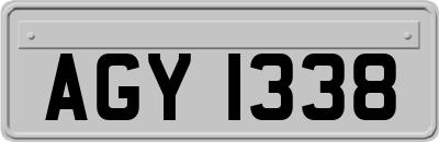 AGY1338