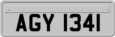 AGY1341