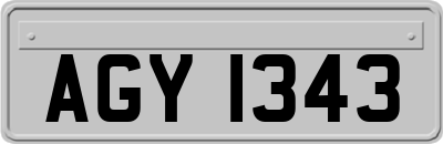 AGY1343
