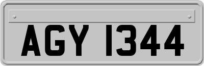 AGY1344