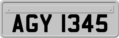 AGY1345