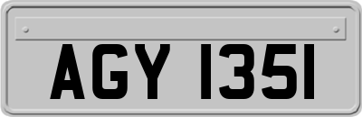AGY1351