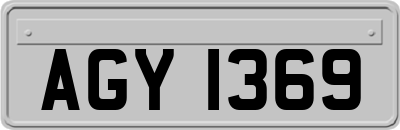 AGY1369