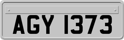 AGY1373