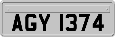 AGY1374