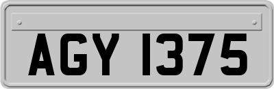 AGY1375