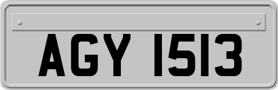 AGY1513